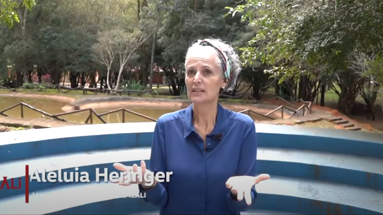 Centro ilAli – Aleluia Heringer