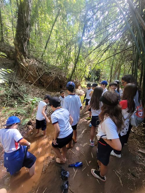 Vivências da Ecologia Integral